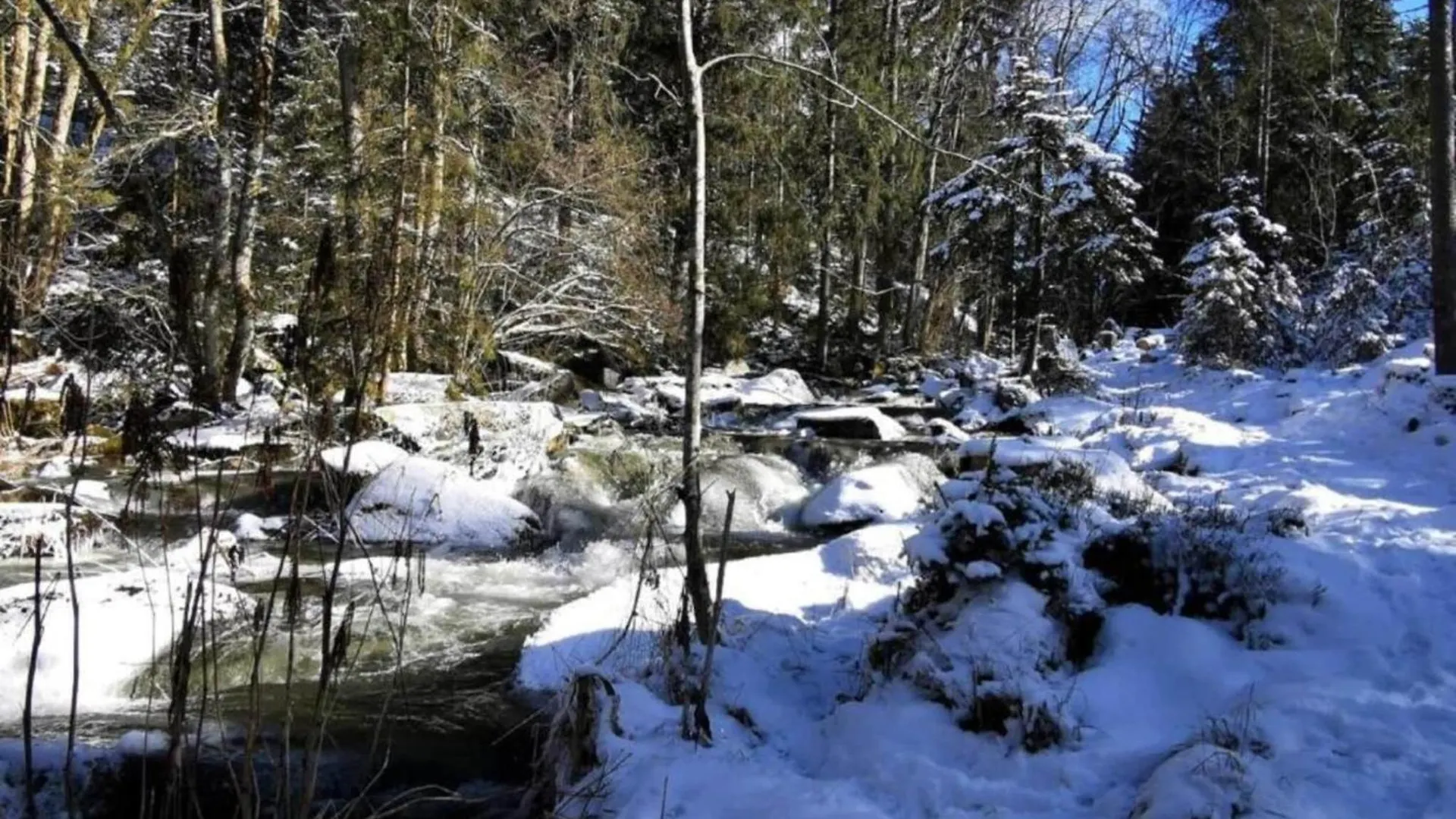 Flat With Private Terrace In The Bavarian Forest Waldkirchen 0*,
