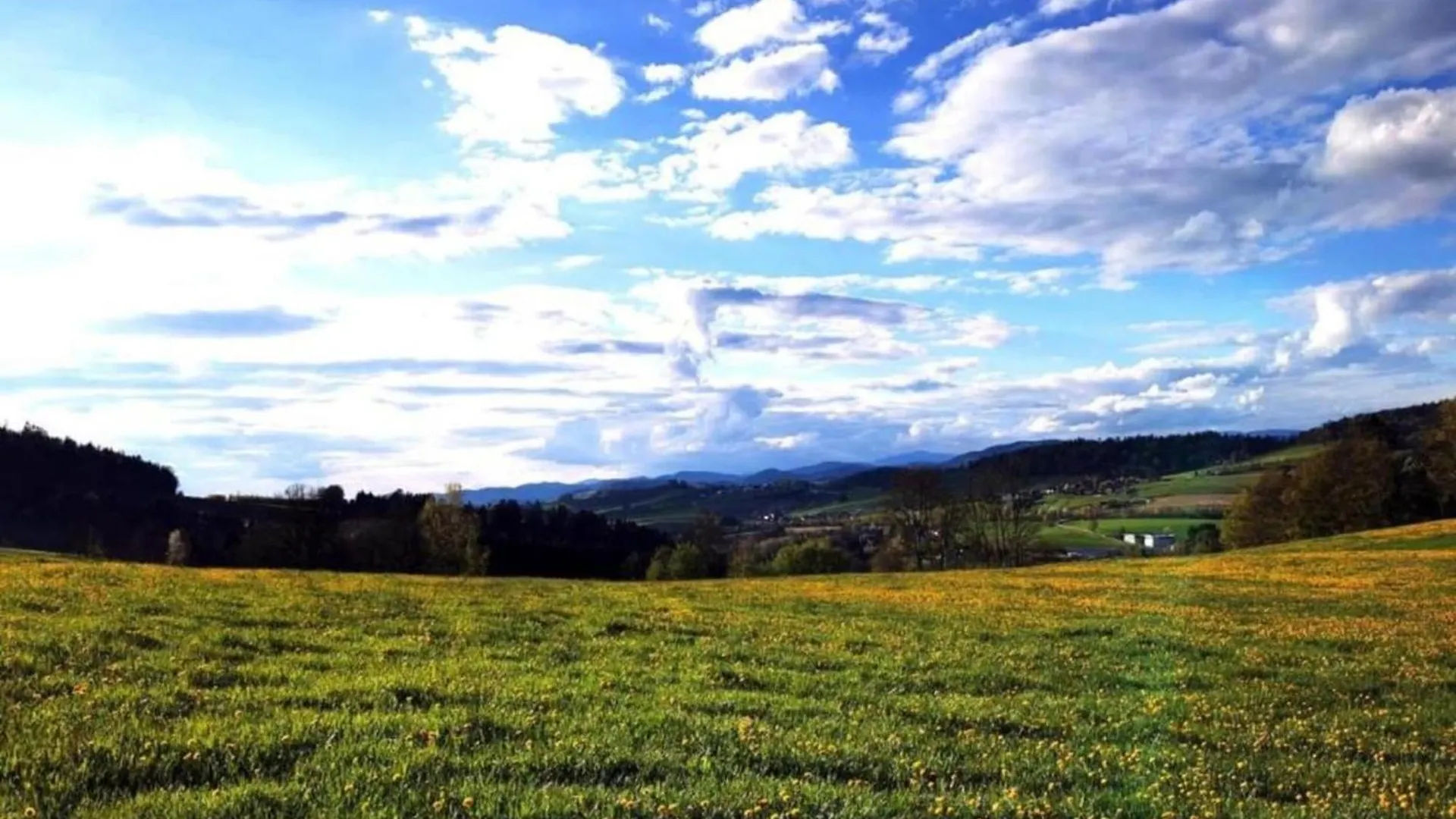 Appartement Flat With Private Terrace In The Bavarian Forest Waldkirchen